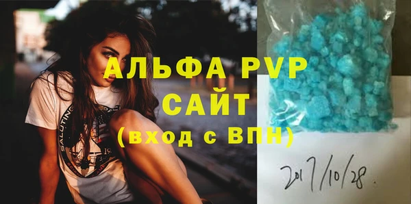амф Бородино