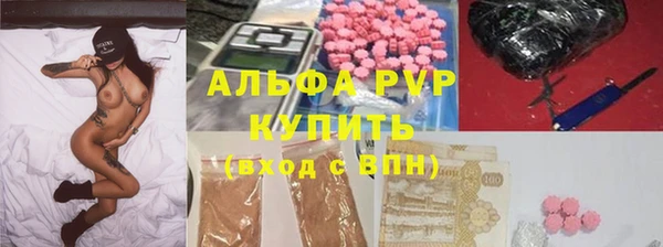 амф Бородино
