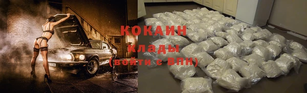 амф Бородино