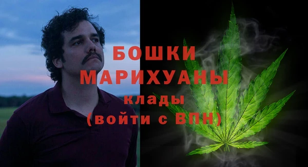 PSILOCYBIN Бугульма