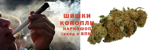 амф Бородино