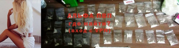 PSILOCYBIN Бугульма