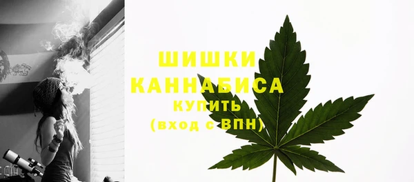 мдпв Бронницы