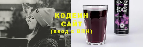 амф Бородино