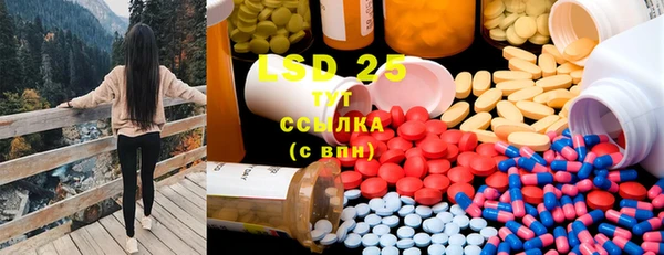 PSILOCYBIN Бугульма
