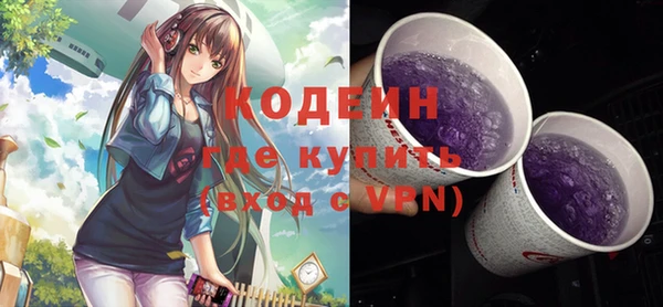 амф Бородино