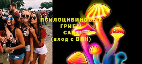 амф Бородино