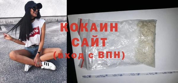 амф Бородино