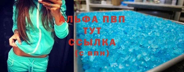 амф Бородино