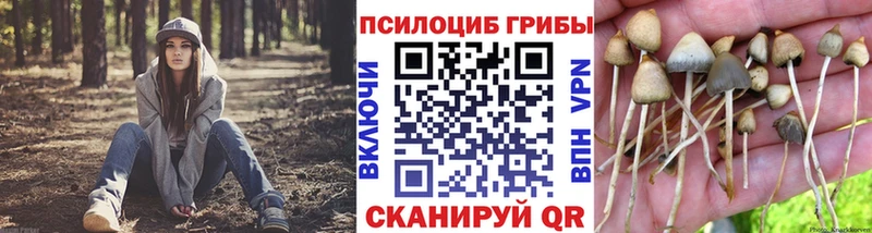Галлюциногенные грибы Cubensis Купить Солнечногорск