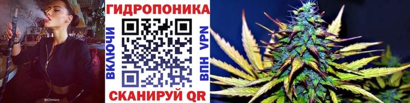 Купить где  Солнечногорск  Бошки марихуана индика 